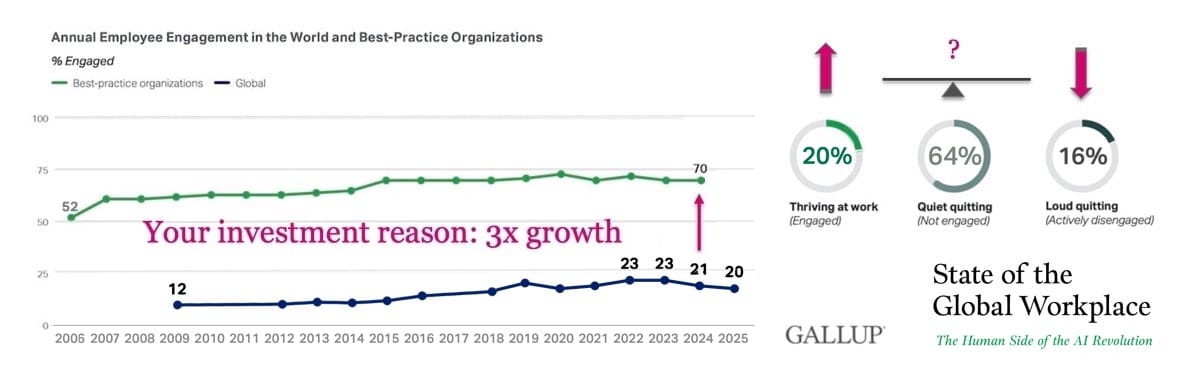 Employee engagement in best-practice workplaces compared with typical teams