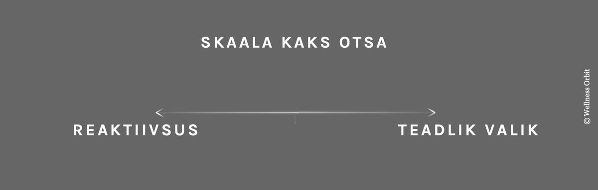 Seesmine reaktiivsus kaotab su vabaduse, teadlikud valikud annavad initsiatiivi ja vabaduse!