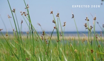 KEEPING CALM MIND <i>Expected release: 2026</i>